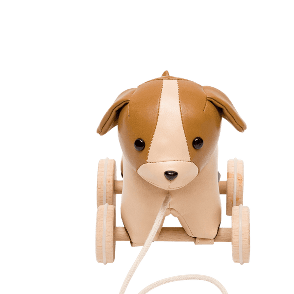 Trekkdyr - Adrien hunden