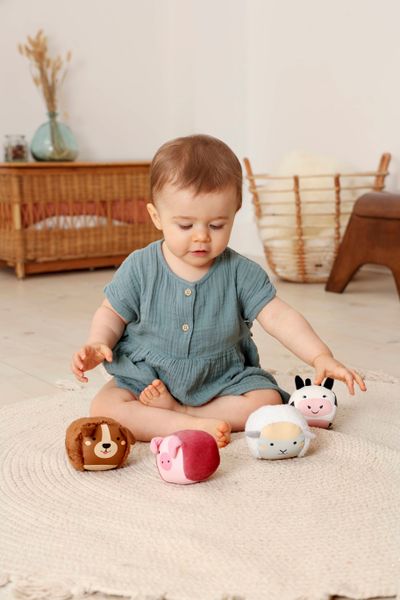 Dooballs med lyd - Gård